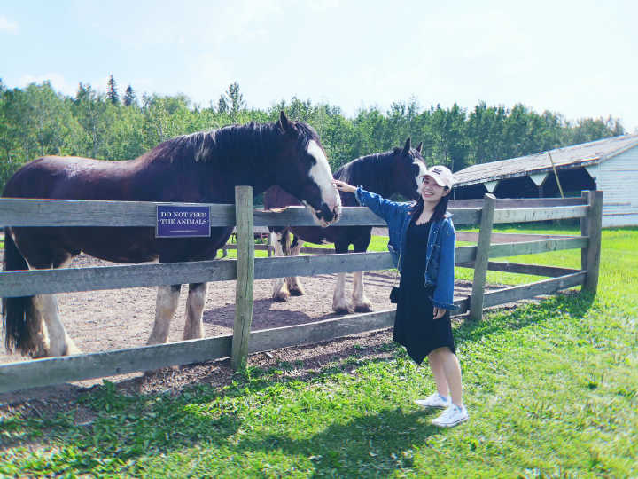 b6b6ff6ad750631e2dcfbff5cd02dd08.jpg b6b6ff6ad750631e2dcfbff5cd02dd08.jpg